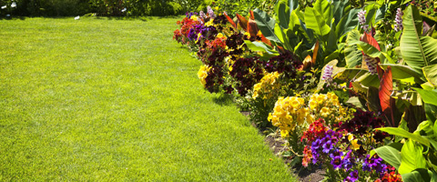 Averill Landscaping Materials : Contact Information